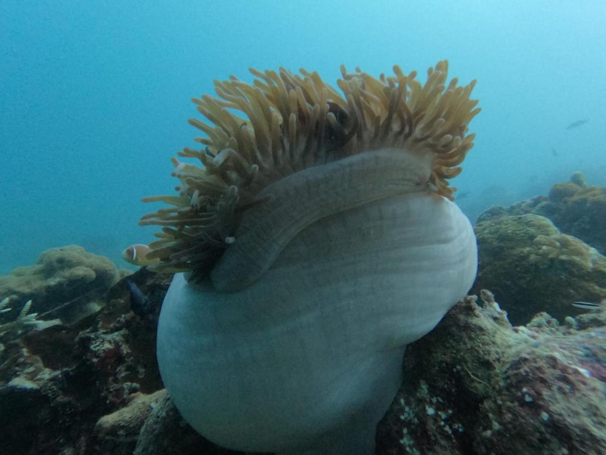 Maratua Dive Center And Lodge Maratua Island ภายนอก รูปภาพ